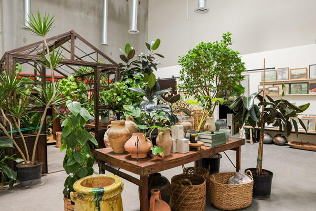 Chloe + Mint Featured in Business of Home for Las Vegas Studio  Proof  Publicity